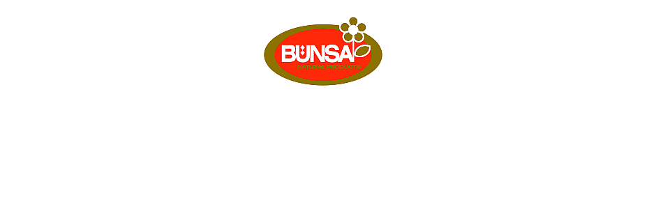 Bünsa